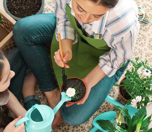 4 vantagens de se cultivar jardim ou horta