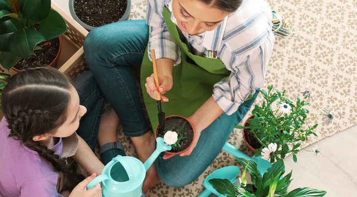 4 vantagens de se cultivar jardim ou horta